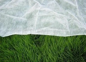 PP Spunbound Nonwoven Fabric for Agriculture