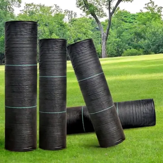 Tissu non tissé 100%Polyprpopylene pour la couverture des cultures au sol de l'agriculture